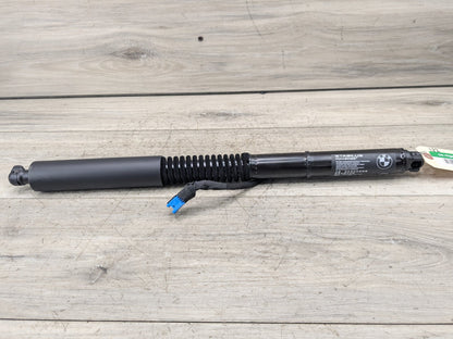 18-24 OEM BMW G01 F97 X3 X3M Rear Left Right Liftgate Shock Strut Lift Supports