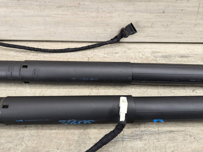 14-18 OEM BMW X5M F15 F85 Rear Left Right Trunk Tailgate Shock Hatch Strut Pair