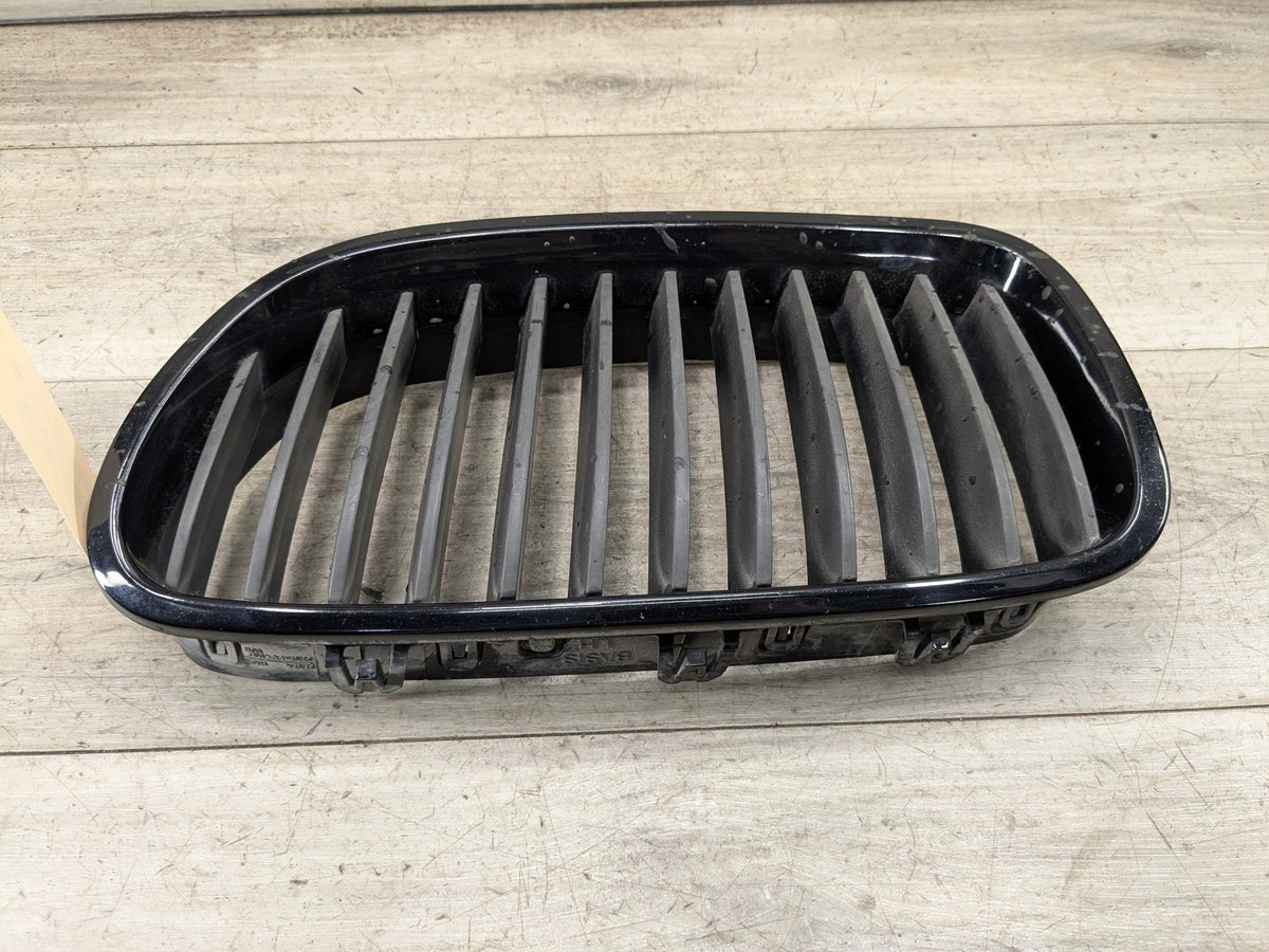 11-13 OEM BMW F10 528 535 550 Front Bumper Grille Insert