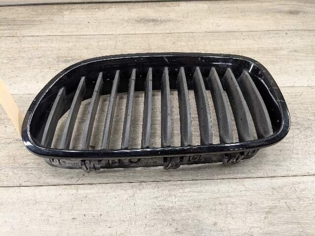 11-13 OEM BMW F10 528 535 550 Front Bumper Grille Insert