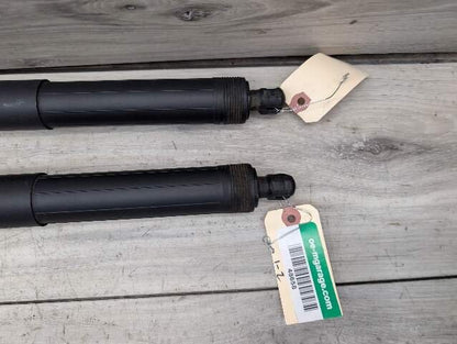 OEM BMW F15 F85 X5 X5M REAR Left Right Trunk Tailgate Shock Hatch Strut PAIR