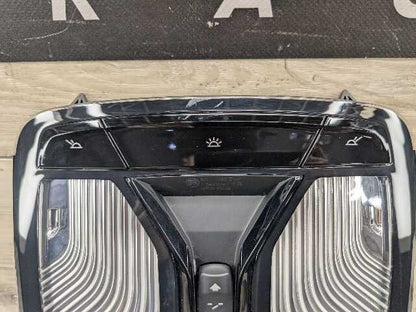 OEM BMW F90 G01 G05 G20 G26 G30 G80 G82 Headliner Roof Console Dome Light Module