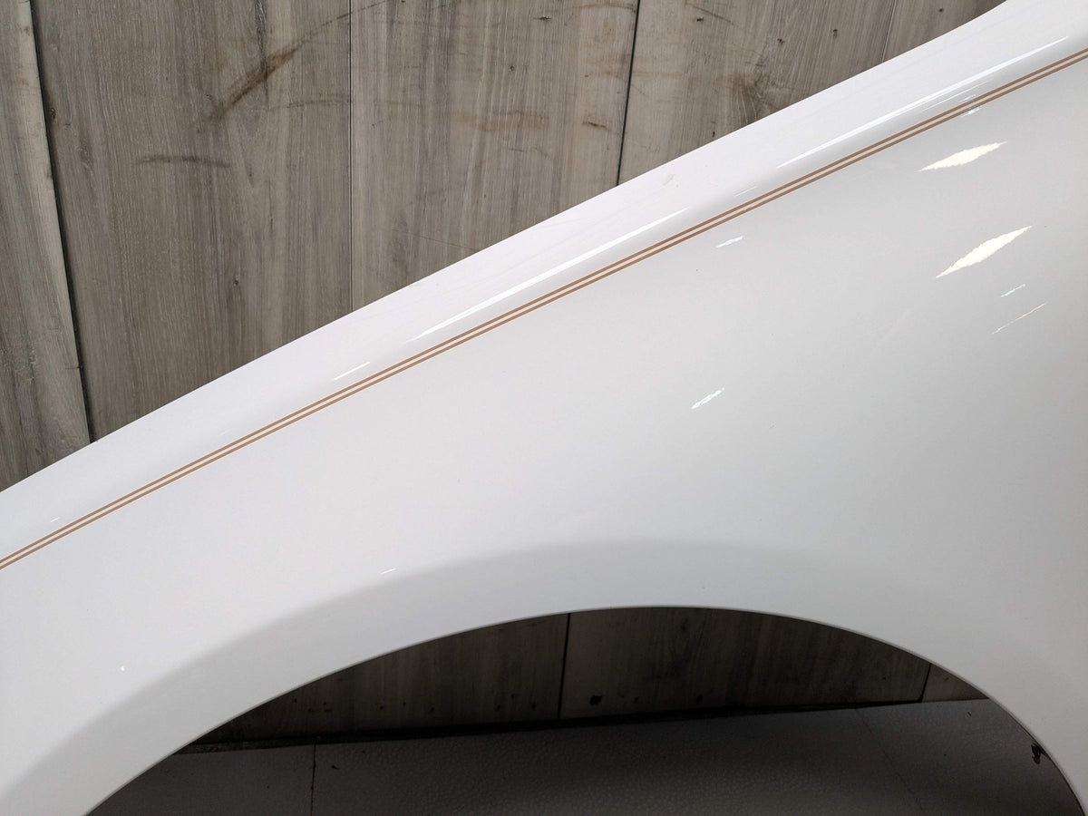 09-15 OEM BMW F01 F02 740 750 Front Left Driver Side Fender Panel White 300 White ALPINWEISS III (300)