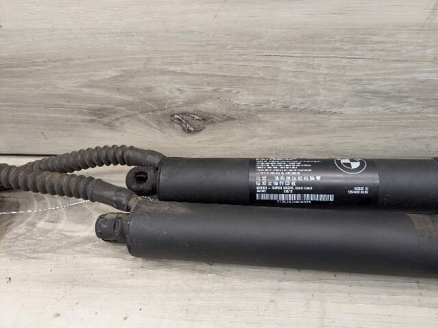 OEM BMW F15 F85 X5 X5M REAR Left Right Trunk Tailgate Shock Hatch Strut PAIR