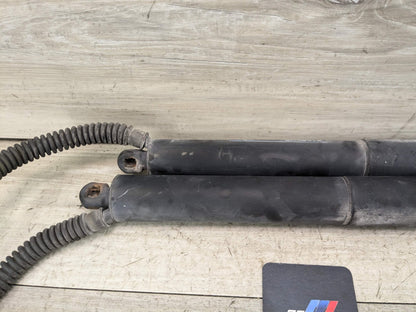 2012 - 2014 BMW X3 F25 Rear Left Right Liftgate Trunk Lid Strut Shock Supports SET 7232004
