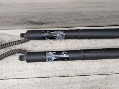 OEM BMW F15 F85 X5 X5M REAR Left Right Trunk Tailgate Shock Hatch Strut PAIR
