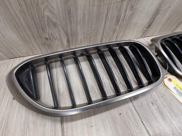 17-20 OEM BMW Front Left Right Bumper Kidney Grille SET