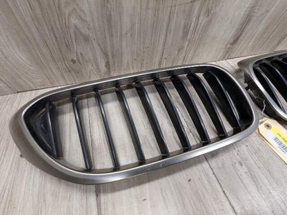 17-20 OEM BMW Front Left Right Bumper Kidney Grille SET