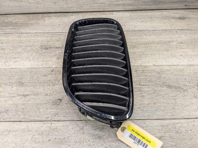 11-13 OEM BMW F10 528 535 550 Front Bumper Grille Insert