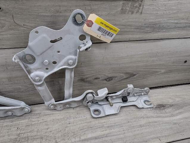 OEM BMW F95 F96 G05 G05 G07 G09 X5 X6 X7 Left Right Hood Hinges Pair White A96