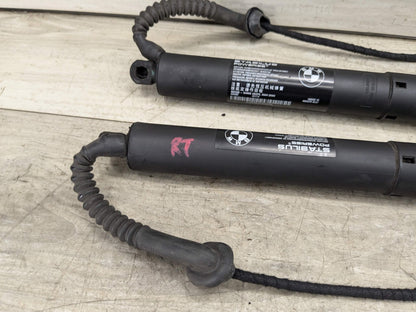 14-18 OEM BMW X5M F15 F85 Rear Left Right Trunk Tailgate Shock Hatch Strut Pair