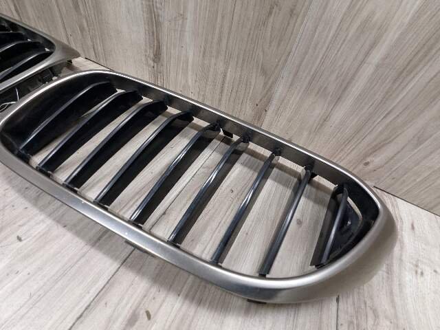 17-20 OEM BMW Front Left Right Bumper Kidney Grille SET
