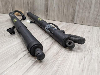 OEM BMW F15 F85 X5 X5M REAR Left Right Trunk Tailgate Shock Hatch Strut PAIR