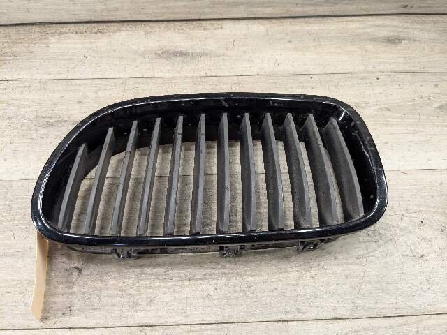 11-13 OEM BMW F10 528 535 550 Front Bumper Grille Insert