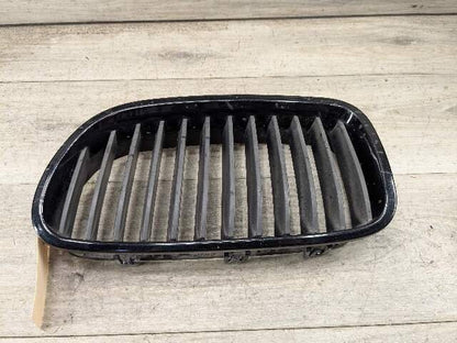 11-13 OEM BMW F10 528 535 550 Front Bumper Grille Insert