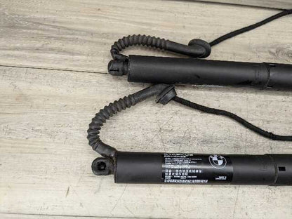 OEM BMW F15 F85 X5 X5M REAR Left Right Trunk Tailgate Shock Hatch Strut PAIR