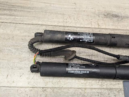 14-18 OEM BMW F15 F85 X5 Rear Left Right Trunk Tailgate Hatch Shock Strut SET
