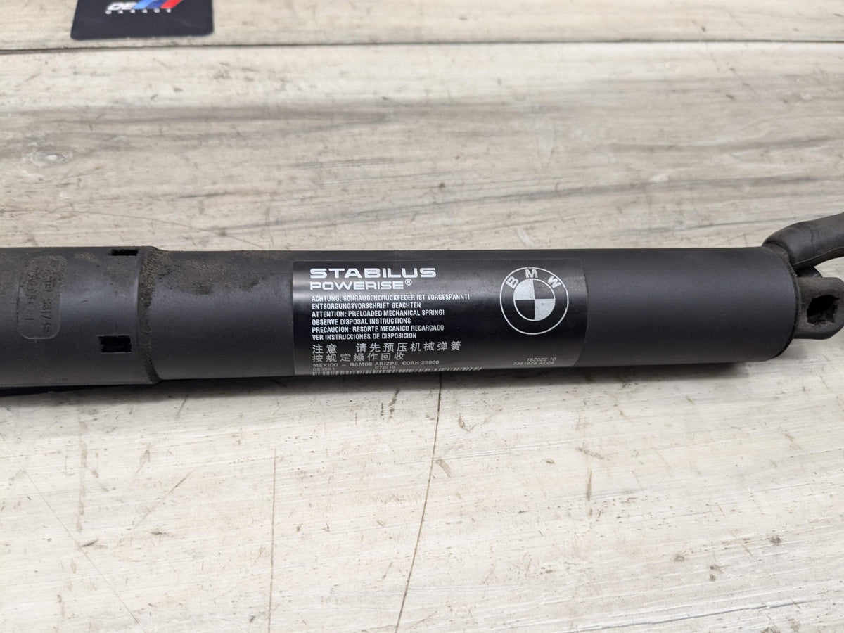 OEM BMW F15 F85 X5 X5M REAR Left Right Trunk Tailgate Shock Hatch Strut PAIR