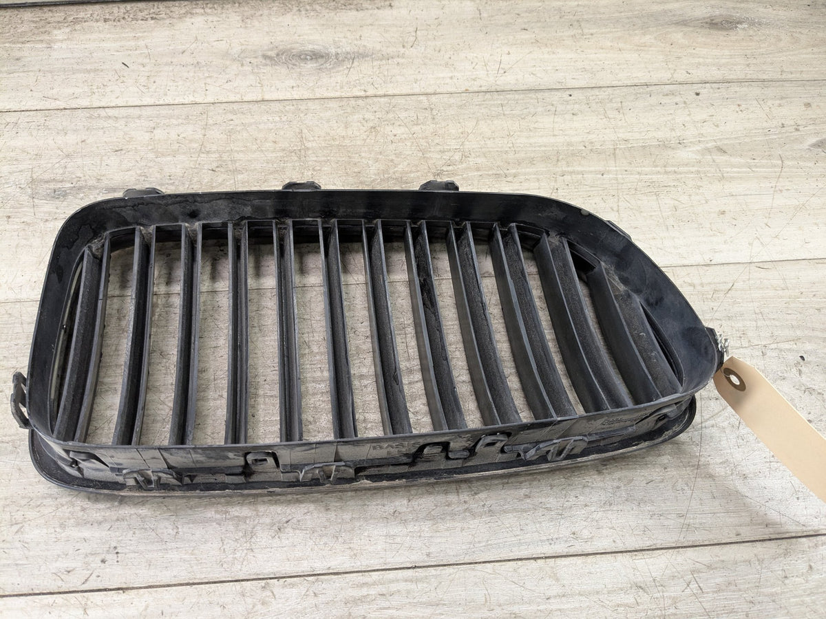 11-13 OEM BMW F10 528 535 550 Front Bumper Grille Insert