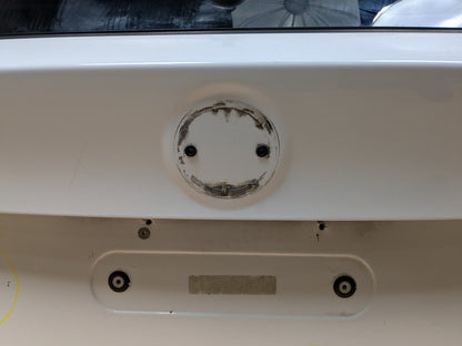 OEM BMW F97 G01 X3 X3M Rear Liftgate Tailgate Trunk Lid Door Shell White 300 ALPINWEISS III (300)