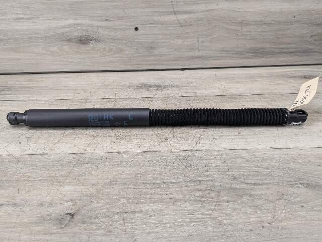 18-24 OEM BMW G01 F97 X3 X3M Rear Left Right Liftgate Shock Strut Lift Supports