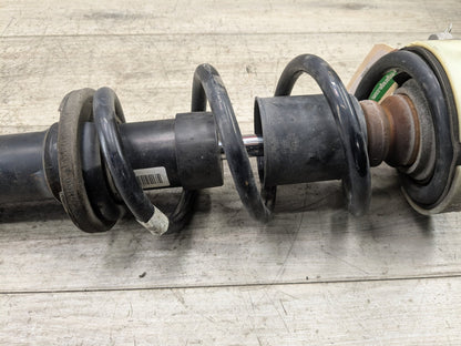 2018-2024 Audi S5 B9 Rear Left or Right Spring Strut Shock Absorber 8W0413029H