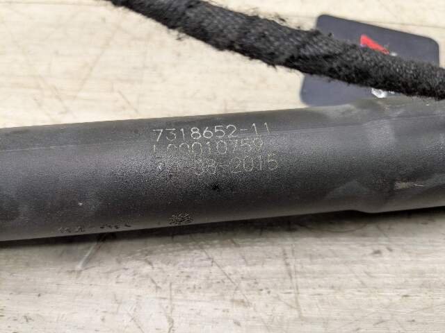 2016 BMW X6 F16 Rear Left Right Liftgate Trunk Lid Strut Shock Supports SET 7318651