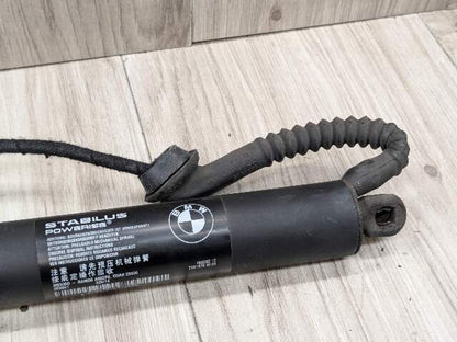 OEM BMW F15 F85 X5 X5M REAR Left Right Trunk Tailgate Shock Hatch Strut PAIR