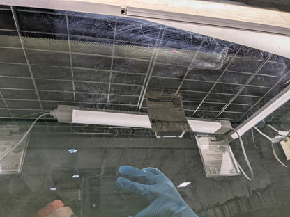 OEM BMW F95 G05 X5 X5M REAR Panoramic Sunroof Sun Moon Roof Glass Window