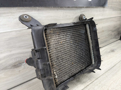 OEM BMW F22 F23 F30 F32 F33 F36 335 440 Engine Oil Auxiliary Secondary Radiator