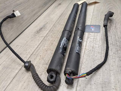 14-18 OEM BMW F15 F85 X5 Rear Left Right Trunk Tailgate Hatch Shock Strut SET