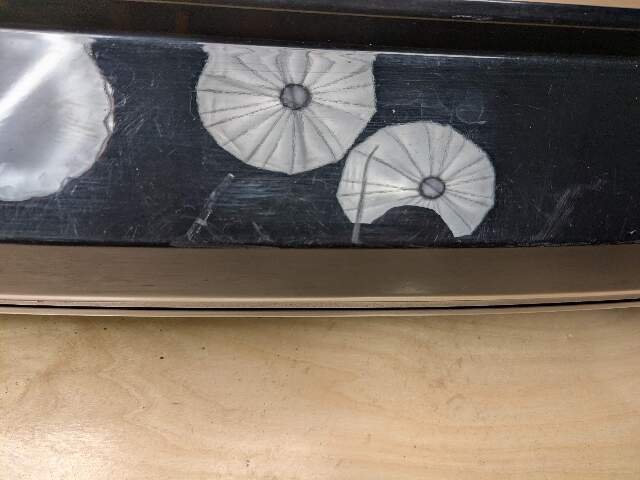 2018 BMW X3 G01 Rear Bumper Cover 7488216