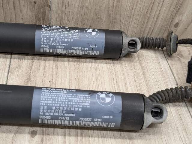 OEM BMW F48 X1 Rear Left Right Trunk Liftgate Shock Hatch Strut Supports SET