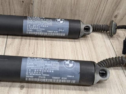 OEM BMW F48 X1 Rear Left Right Trunk Liftgate Shock Hatch Strut Supports SET