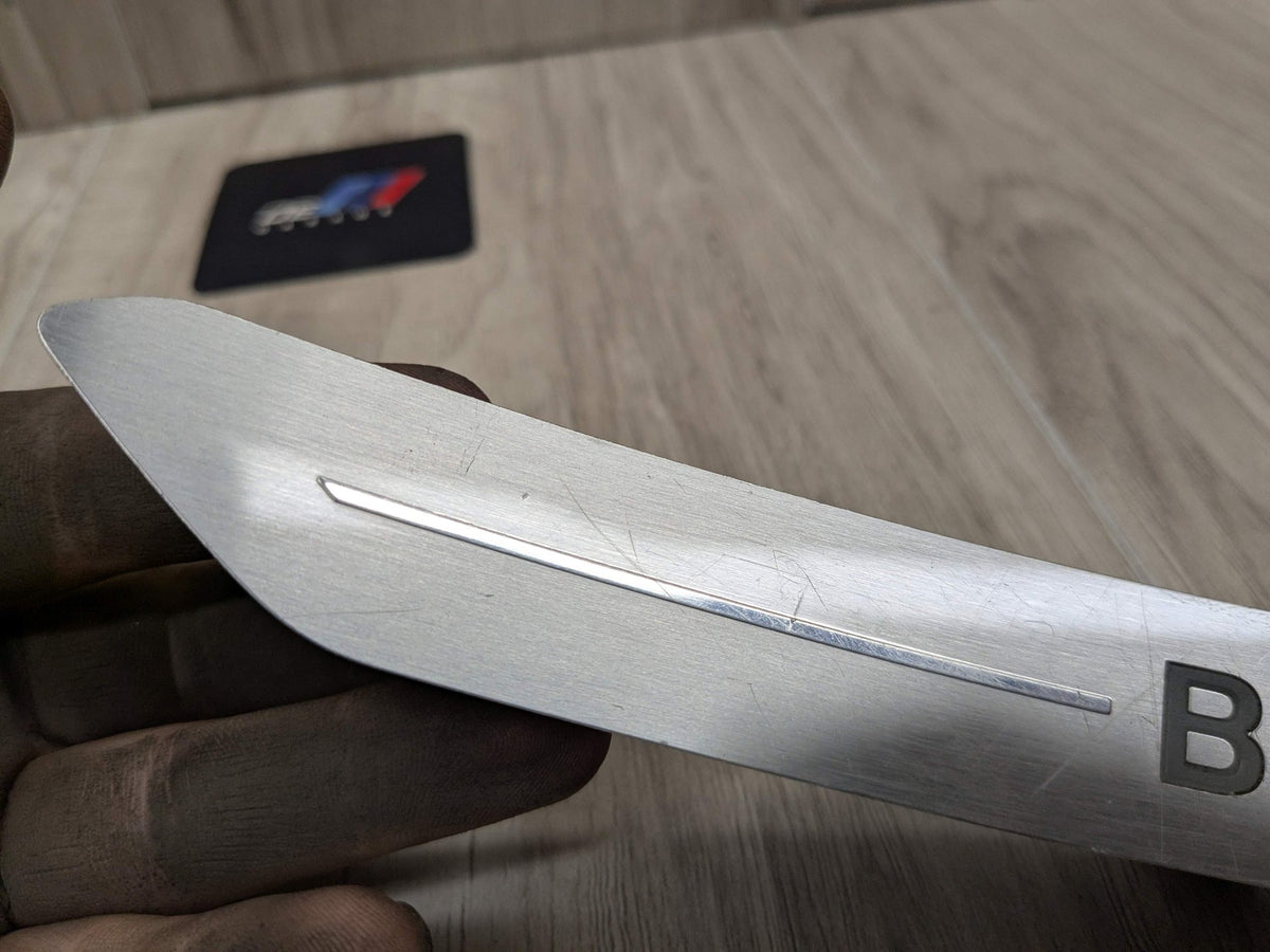 *19-25 OEM BMW G05 X5 Rear Left Driver Side Door Sill Cover Trim Sill Kick Plate