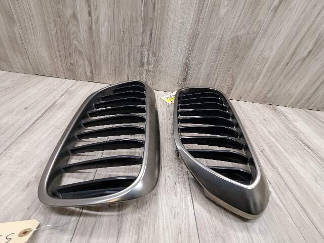 17-20 OEM BMW Front Left Right Bumper Kidney Grille SET