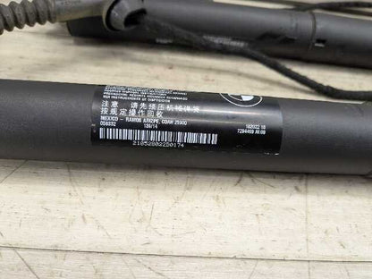 OEM BMW F15 F85 X5 X5M REAR Left Right Trunk Tailgate Shock Hatch Strut PAIR