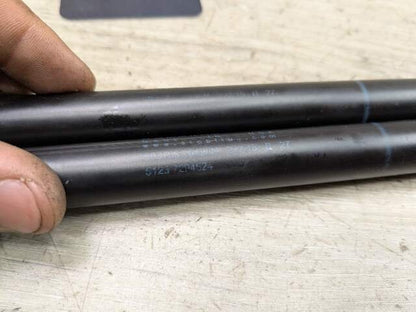 14-19 OEM BMW F15 F85 F86 X6 Front Left Right Hood Shock Lift Support Pair SET