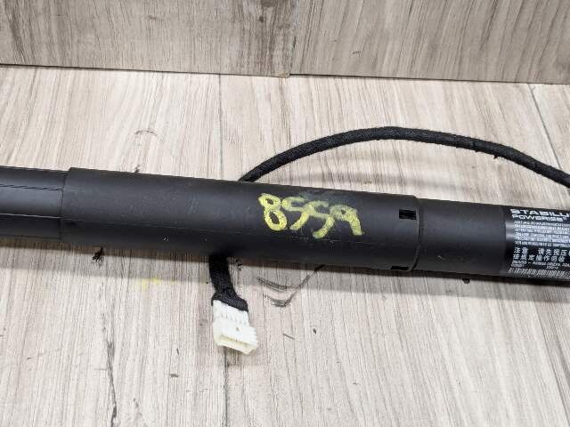 OEM BMW F15 F85 X5 X5M REAR Left Right Trunk Tailgate Shock Hatch Strut PAIR