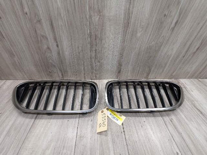 17-20 OEM BMW Front Left Right Bumper Kidney Grille SET