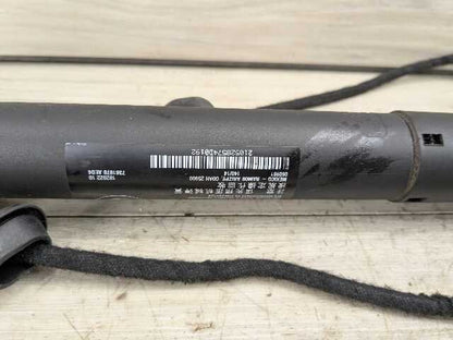 OEM BMW F15 F85 X5 X5M REAR Left Right Trunk Tailgate Shock Hatch Strut PAIR