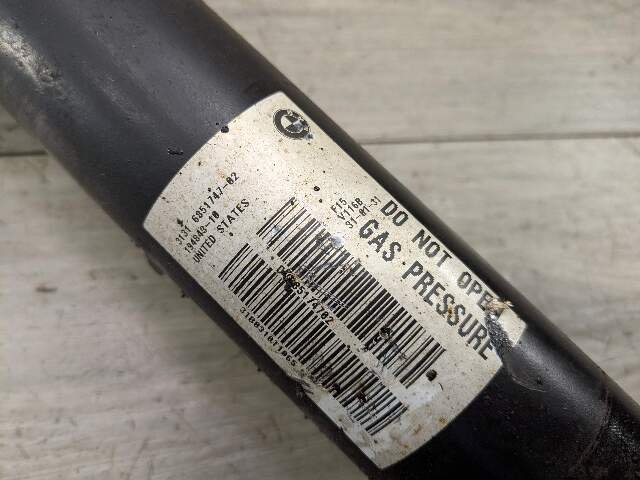 OEM BMW F15 F16 X5 X6 35iX 35dX FRONT Left Right Strut Shock Absorber Spring
