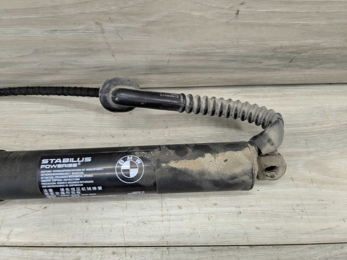 14-18 OEM BMW F15 F85 X5 Rear Left Right Trunk Tailgate Hatch Shock Strut SET