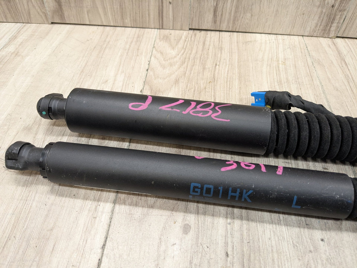 18-24 OEM BMW G01 F97 X3 X3M Rear Left Right Liftgate Shock Strut Lift Supports