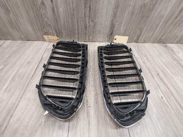 17-20 OEM BMW Front Left Right Bumper Kidney Grille SET