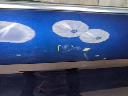 *18-24 OEM Audi A5 S5 COUPE Right Passenger Door Shell Panel Blue PN: 8W6831052A 2D/ X5H