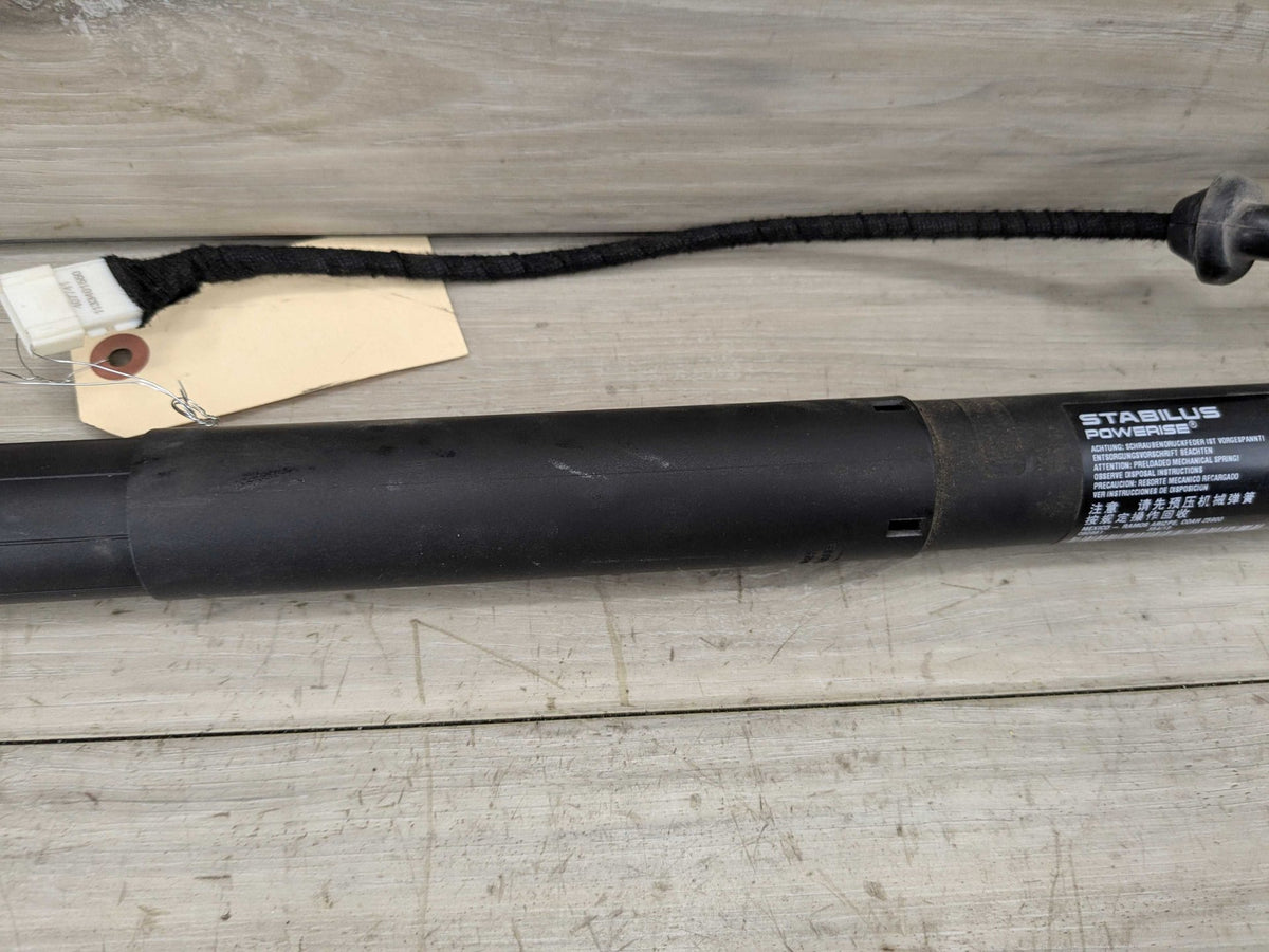 14-18 OEM BMW F15 F85 X5 Rear Left Right Trunk Tailgate Hatch Shock Strut SET