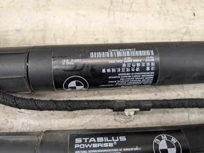 11-17 OEM BMW F25 X3 Rear Left Right Trunk Liftgate Shock Hatch Strut PAIR