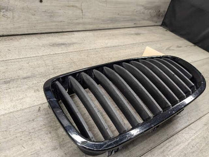 11-13 OEM BMW F10 528 535 550 Front Bumper Grille Insert