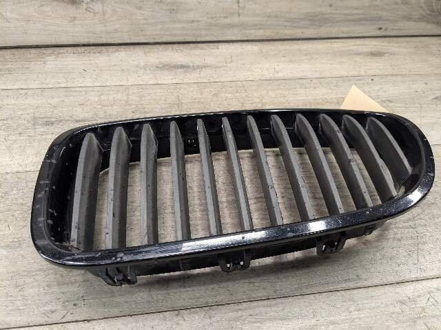 11-13 OEM BMW F10 528 535 550 Front Bumper Grille Insert